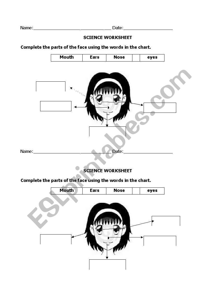 face worksheet worksheet