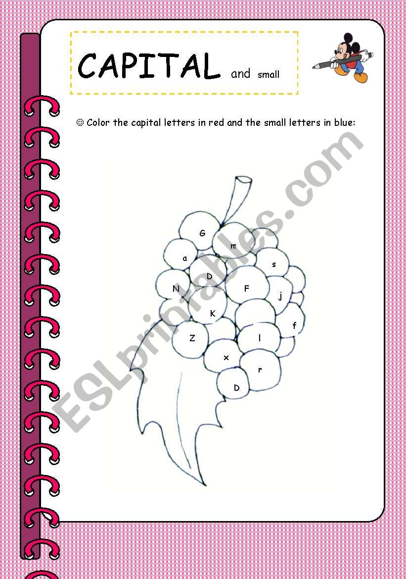 Capital-small letters worksheet