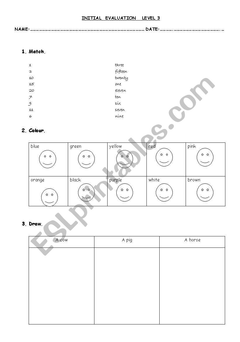 initial evaluation level 3 worksheet