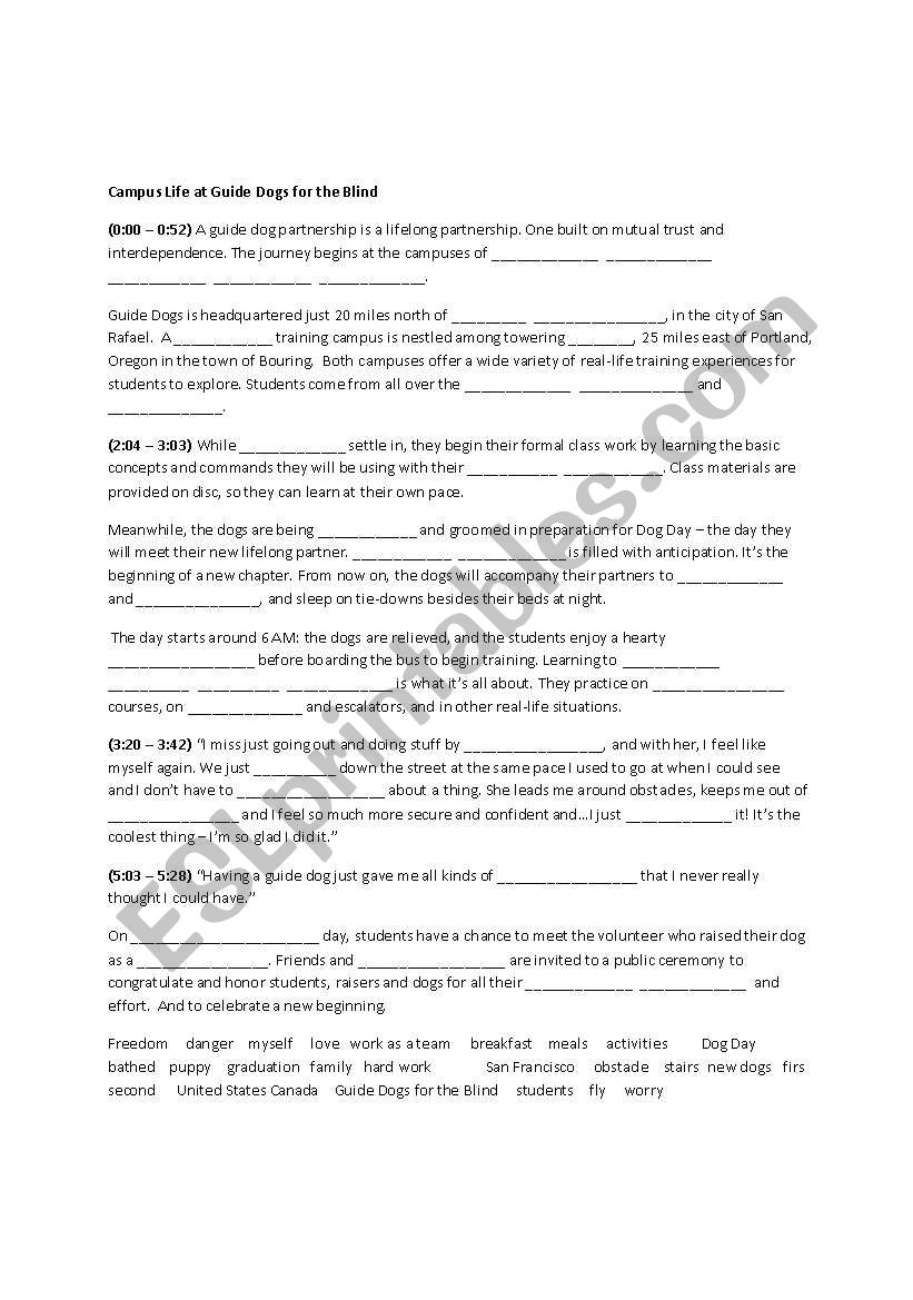 Our Special Friends worksheet