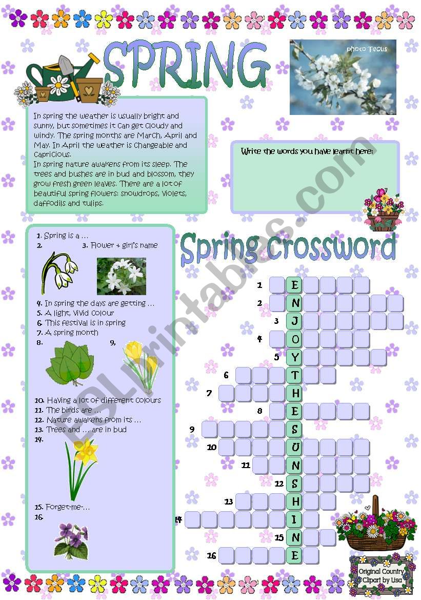 Spring crossword worksheet