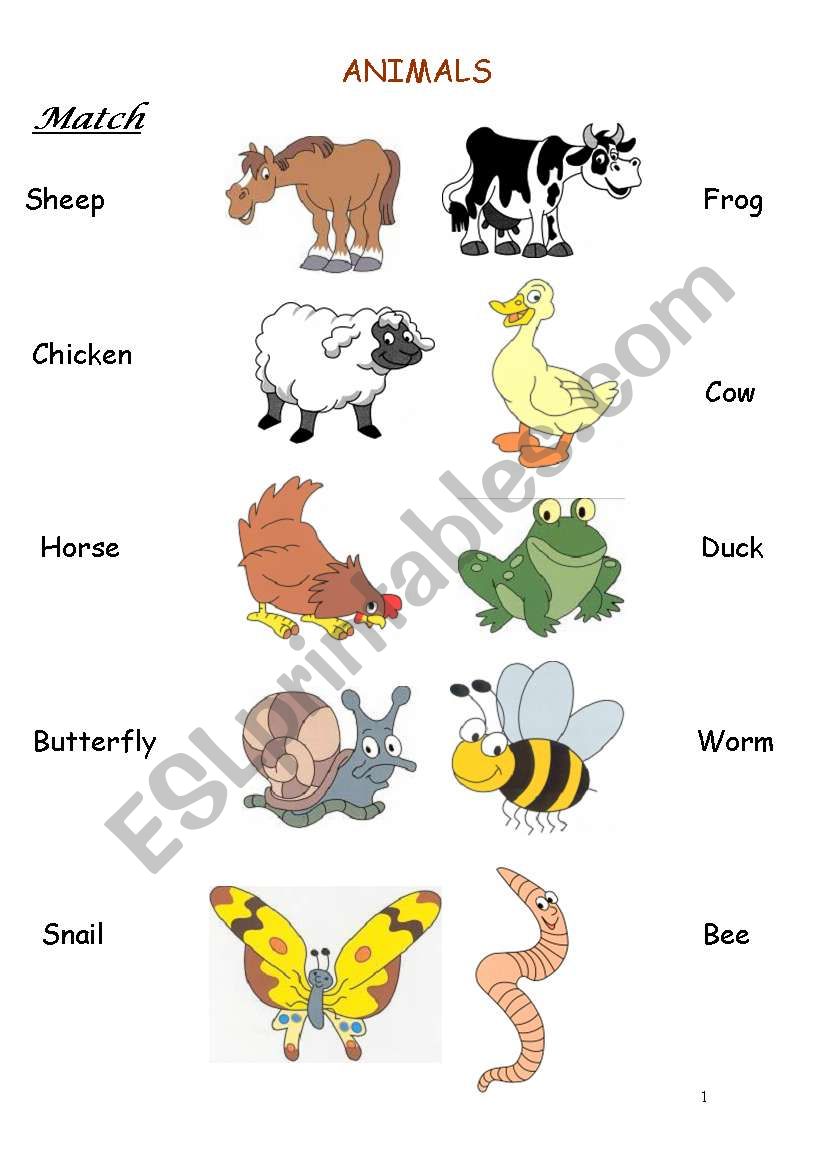 Animals worksheet