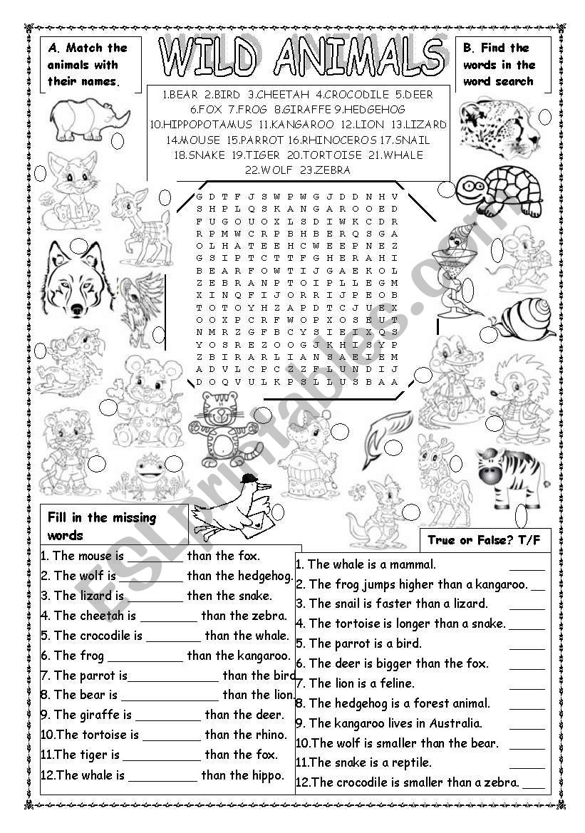 WILD ANIMALS worksheet