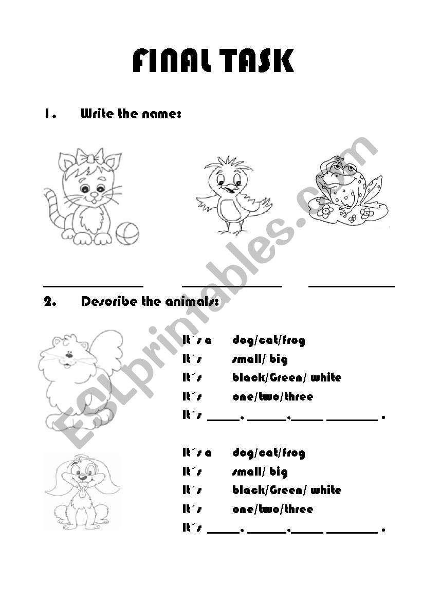 animals final task worksheet