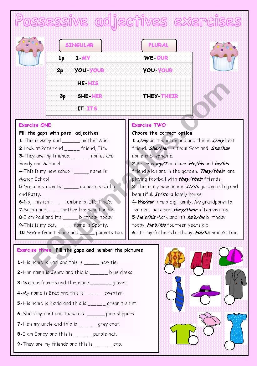 POSSESSIVE ADJECTIVES worksheet