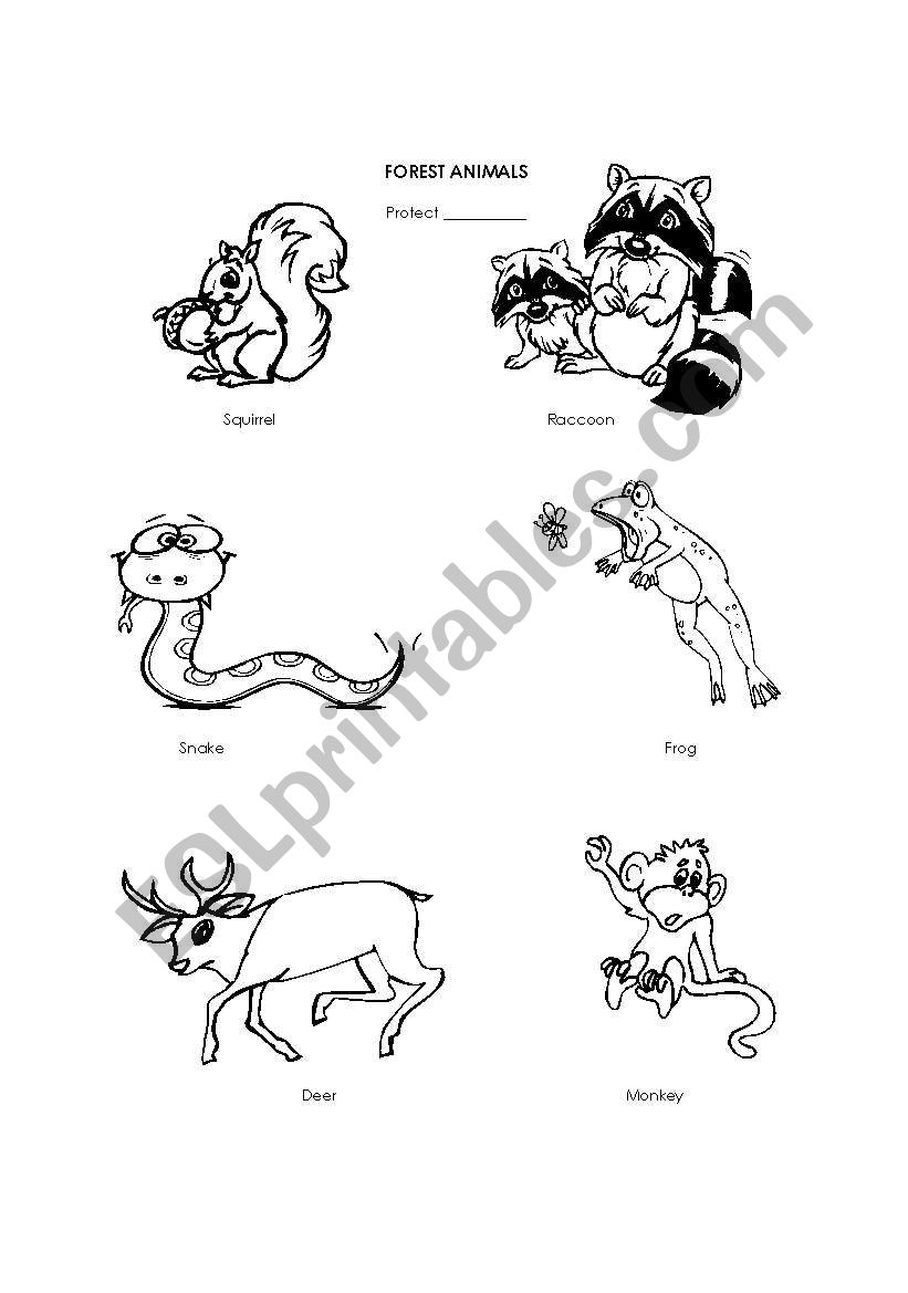 Forest animals worksheet