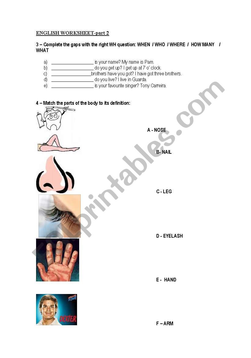 english worksheet 1 worksheet