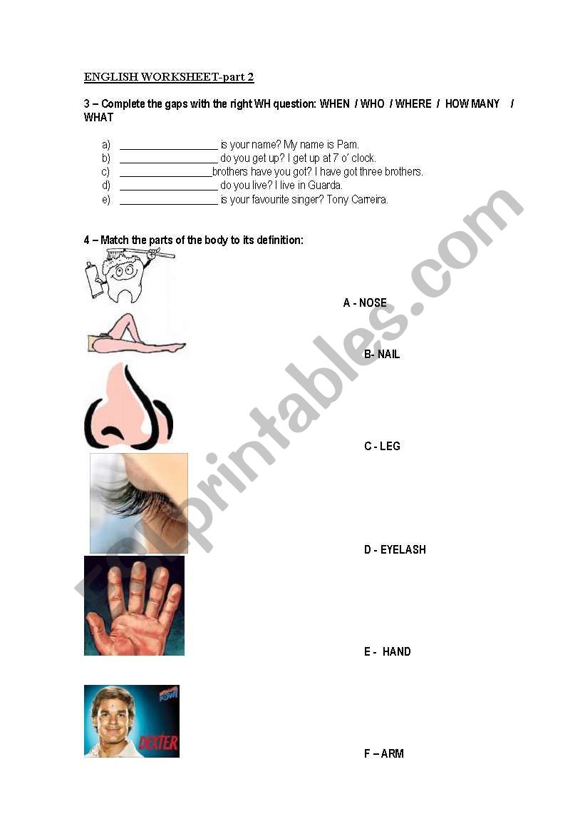 english worksheet 1 worksheet