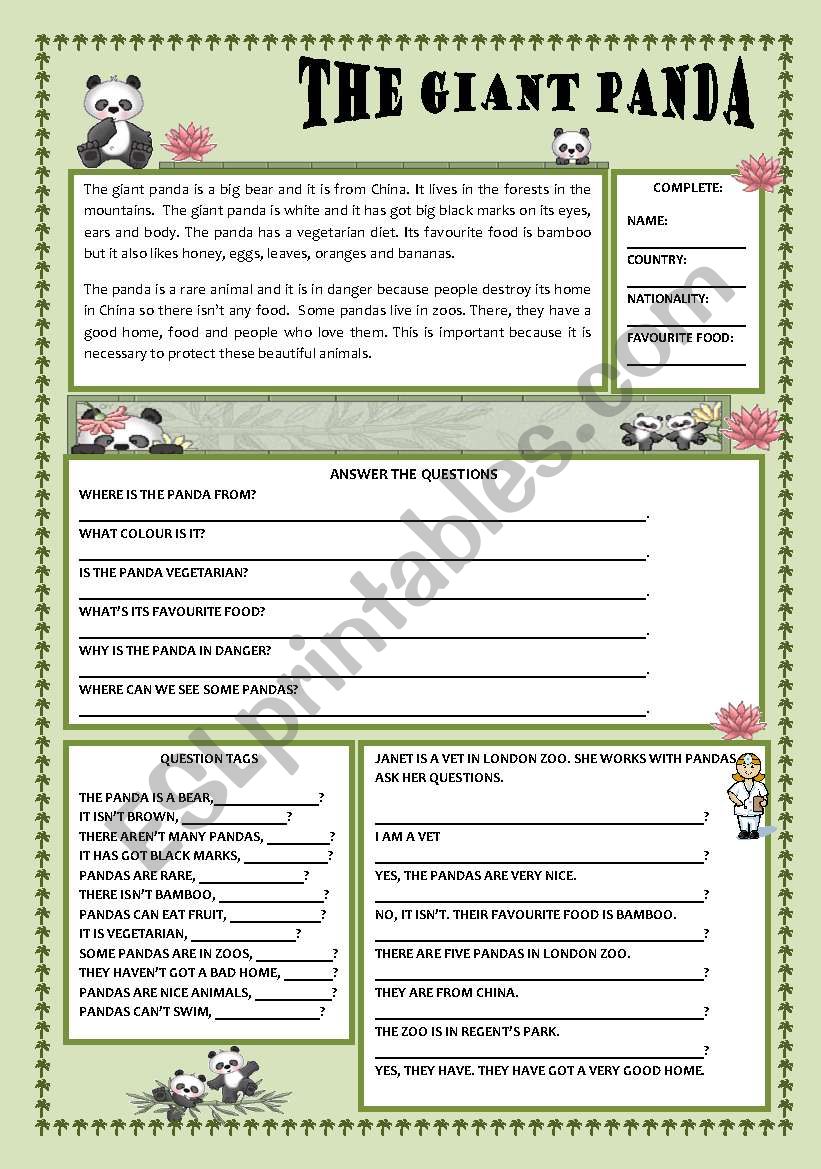 The giant Panda worksheet