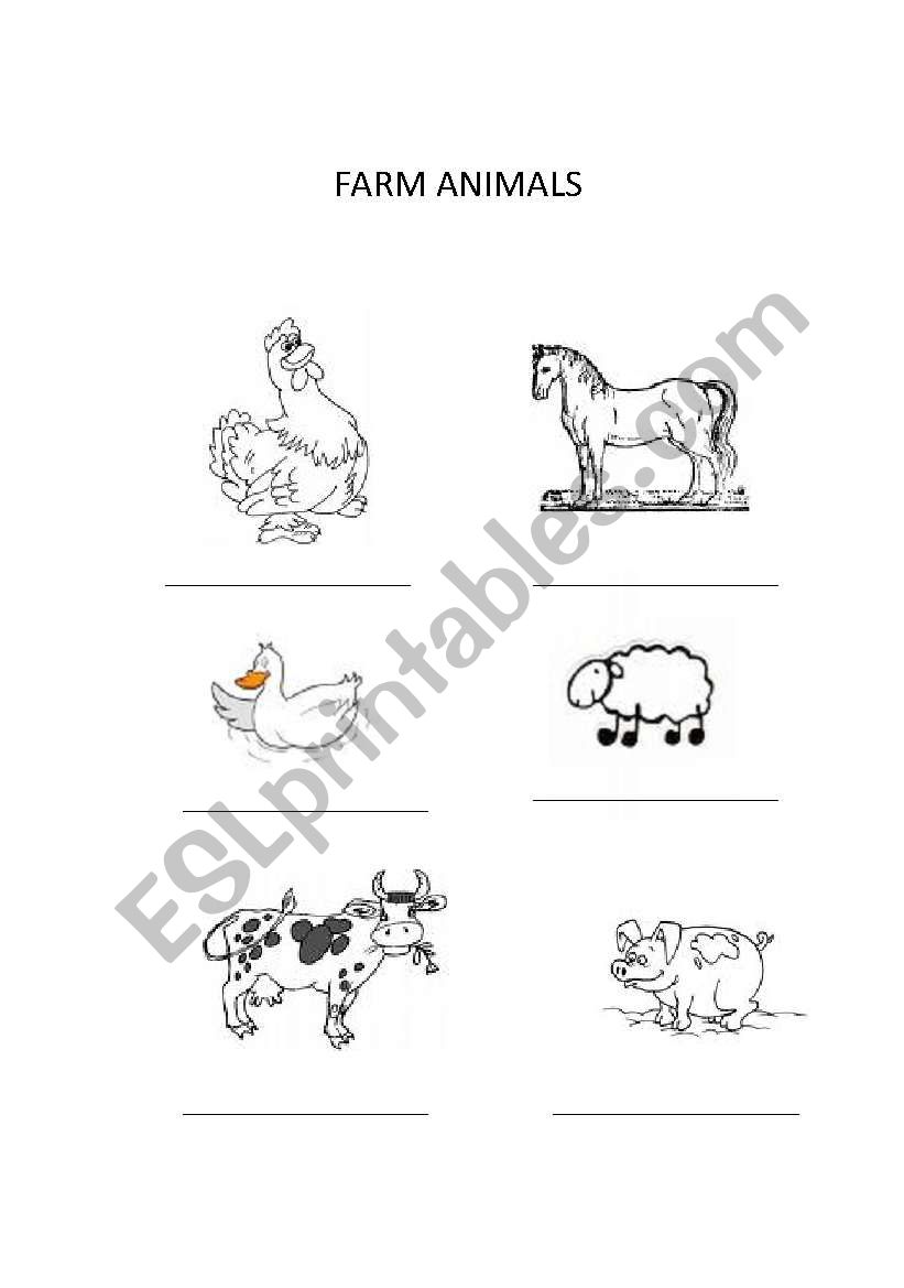 FARM ANIMALS worksheet