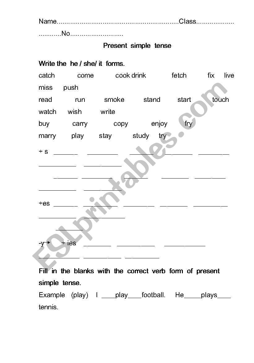 present simple worksheet