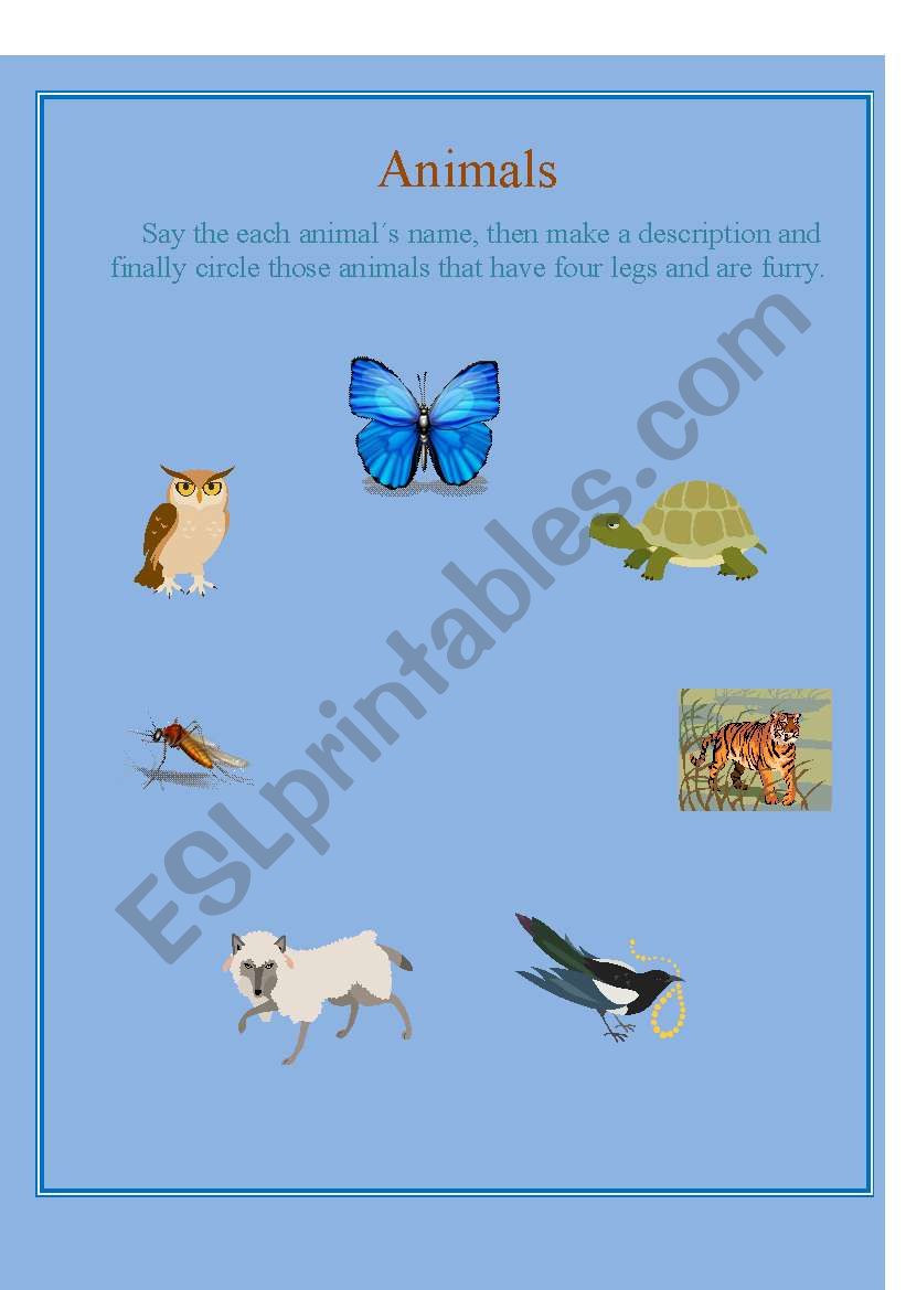 Adjetives and description worksheet