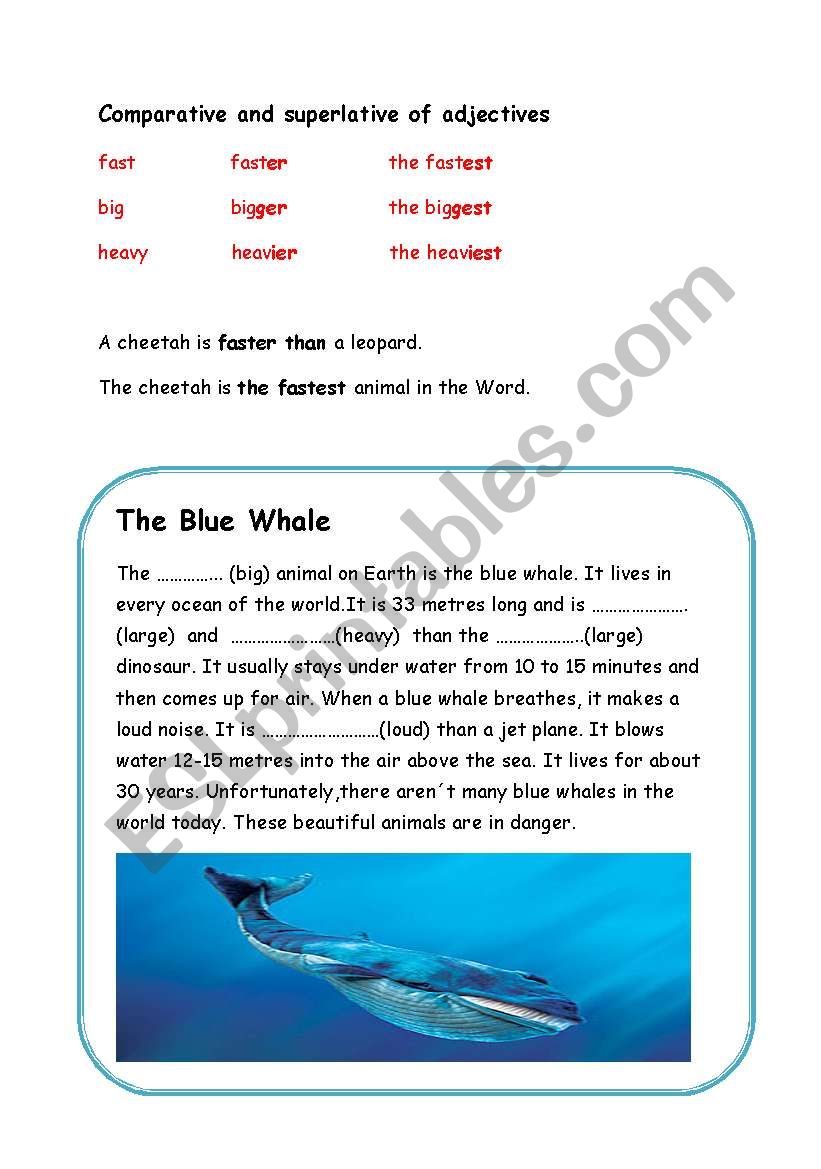 The Blue Whale worksheet