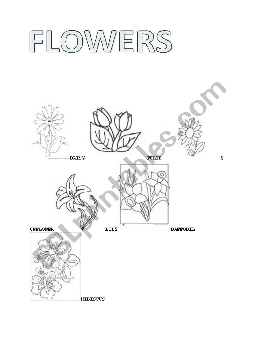 Flowers Coloring Sheet worksheet