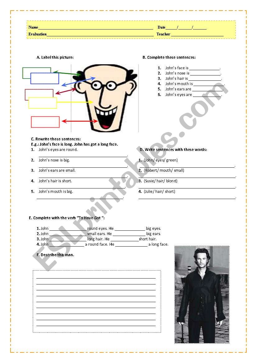 Johns face worksheet