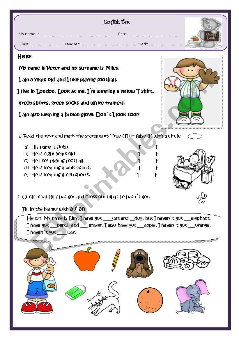 Elementary test worksheet