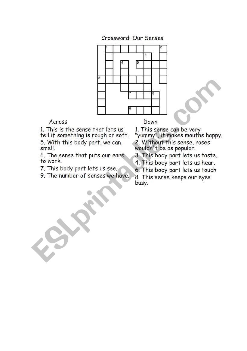 Our senses worksheet