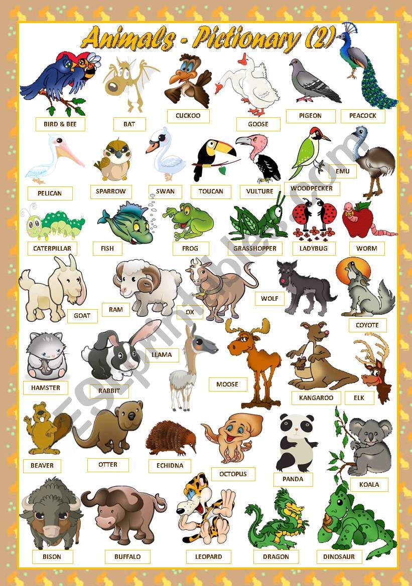 ANIMALS - PICTIONARY(2) - ESL worksheet by mariaolimpia