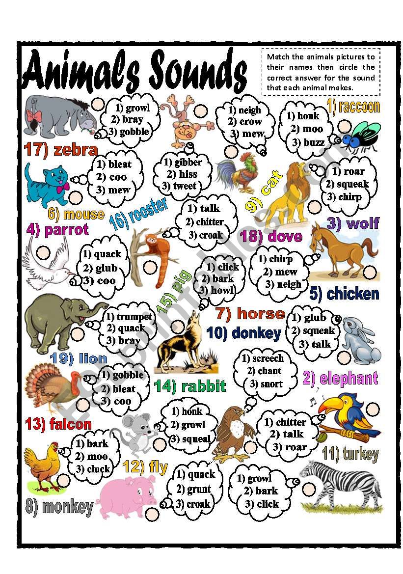 Animals Sounds (part 1) worksheet