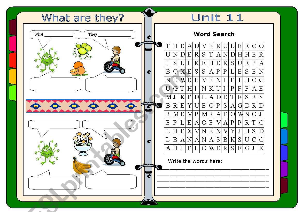 What are they?  worksheet