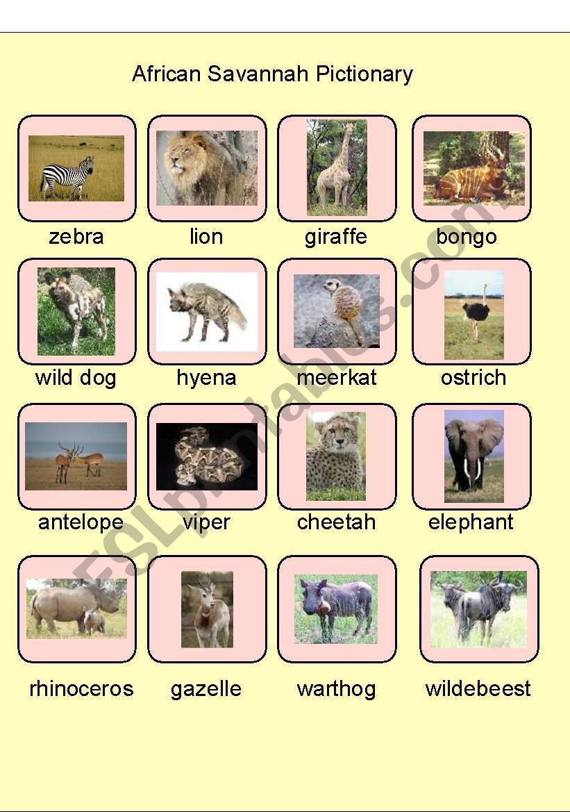 African Savannah Pictionary worksheet