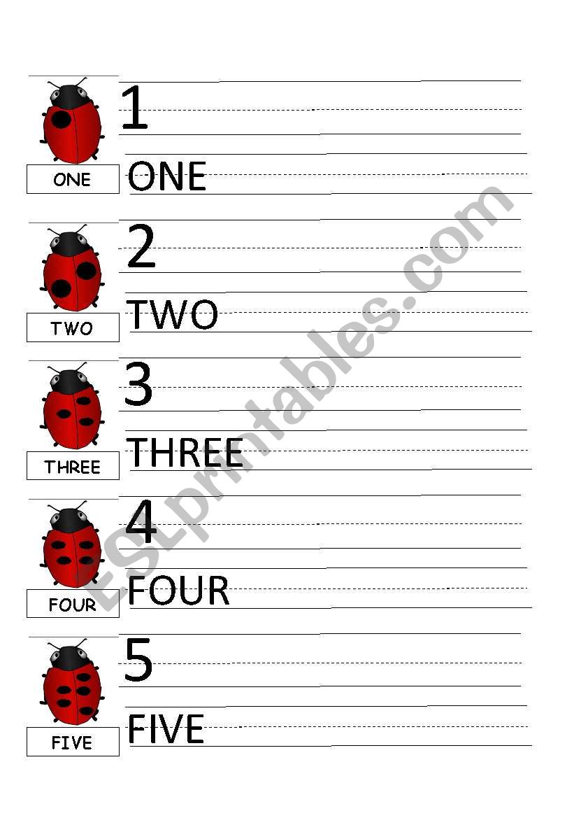 LADYBUG (NUMBERS 1-5) worksheet