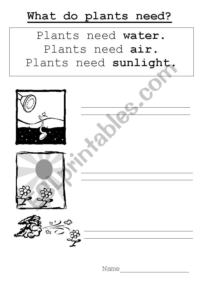 What plants need worksheet