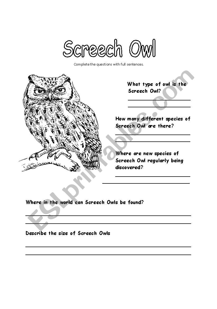 All about Screech Owls worksheet
