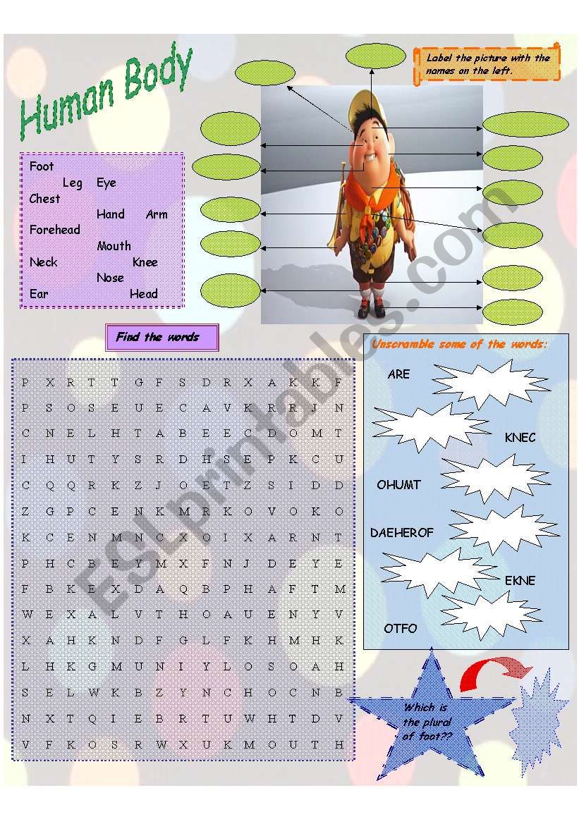 Human Body worksheet