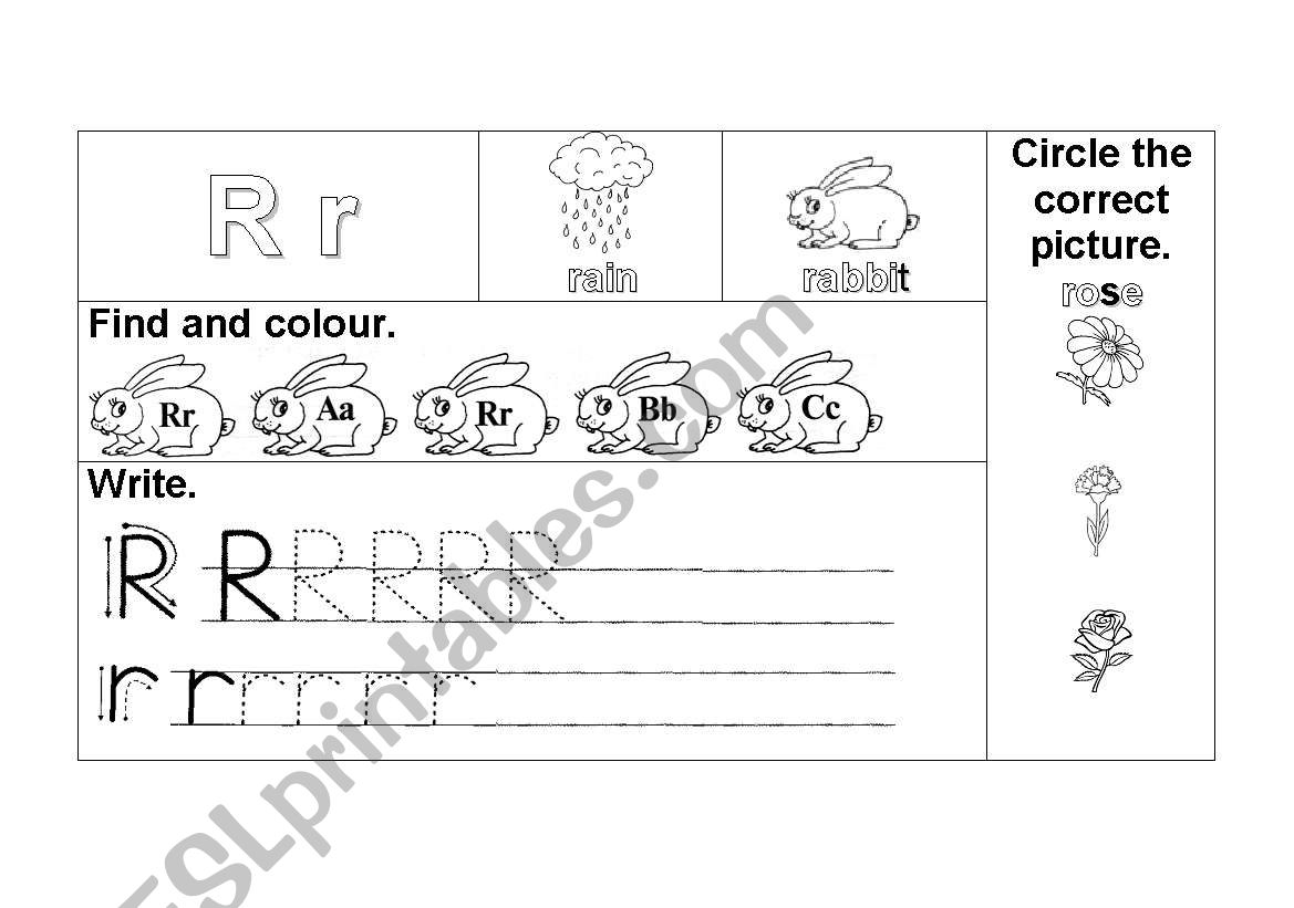 R r worksheet