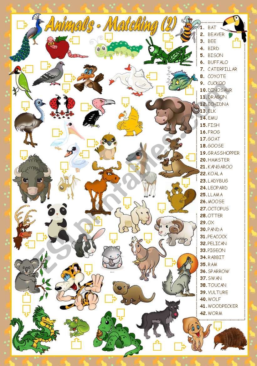ANIMALS - MATCHING(2) worksheet