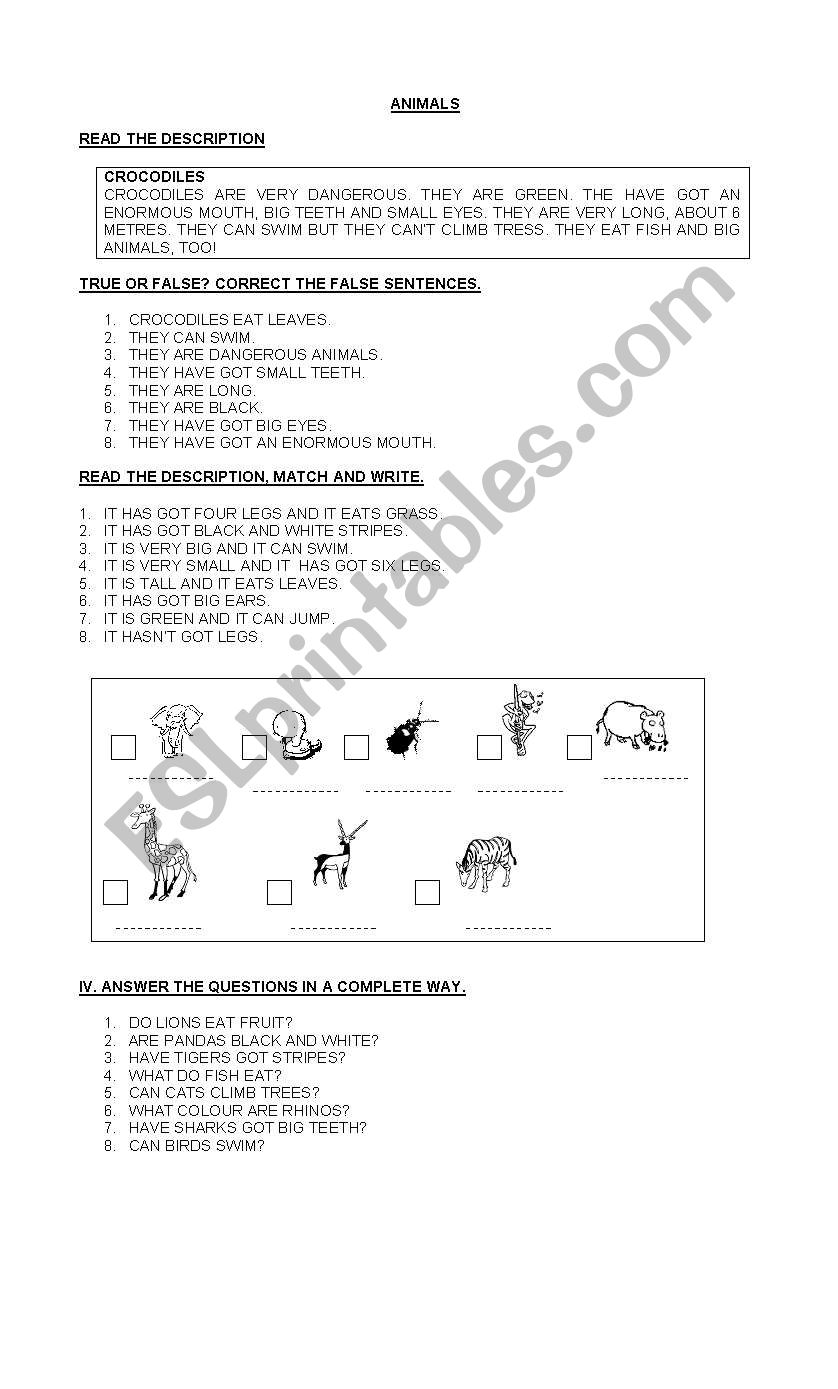 Animals worksheet