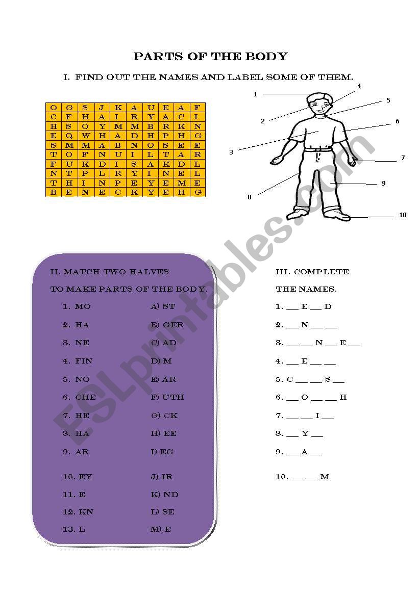 Parts of the body worksheet