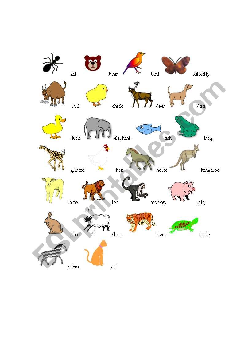 animals worksheet