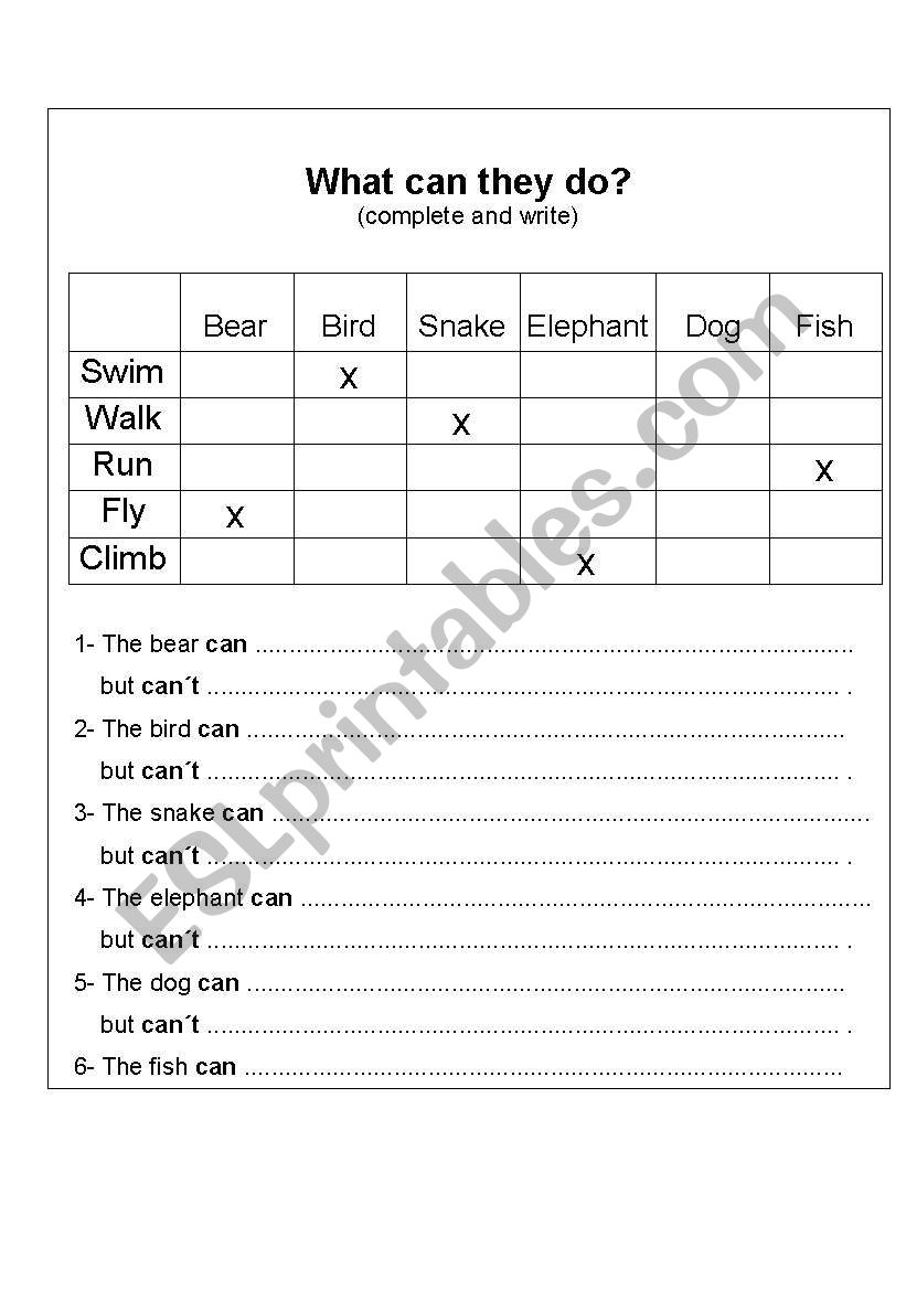What animals can do worksheet
