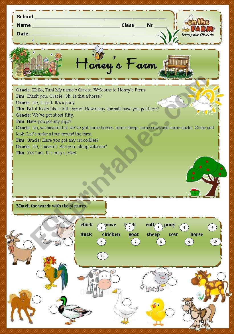 Irregular plurals worksheet