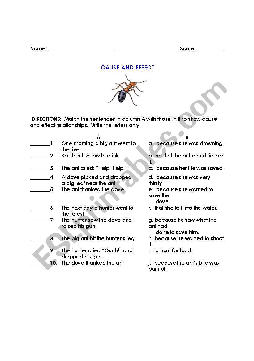 Cause and Effect worksheet