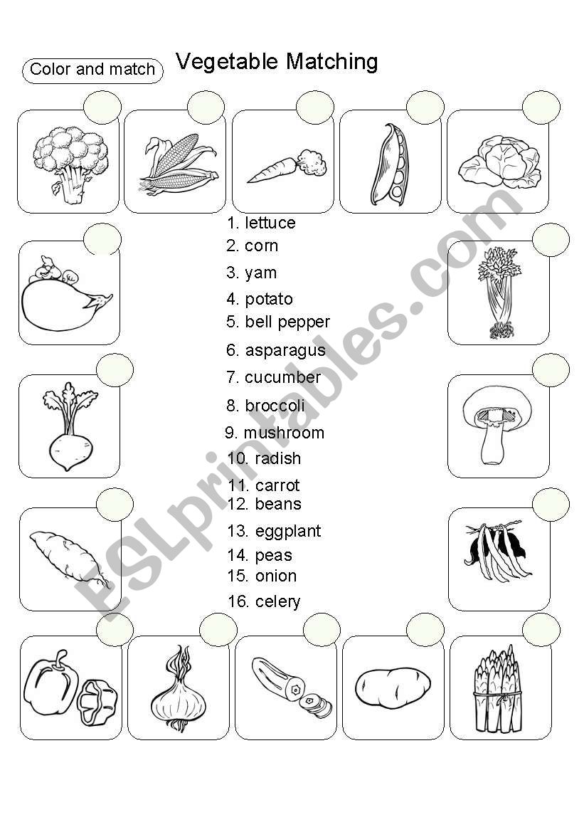 Vegetable Matching worksheet