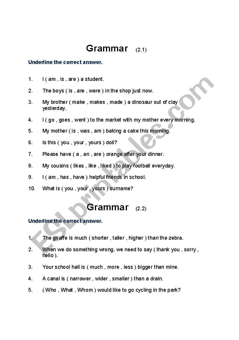 grammar worksheet