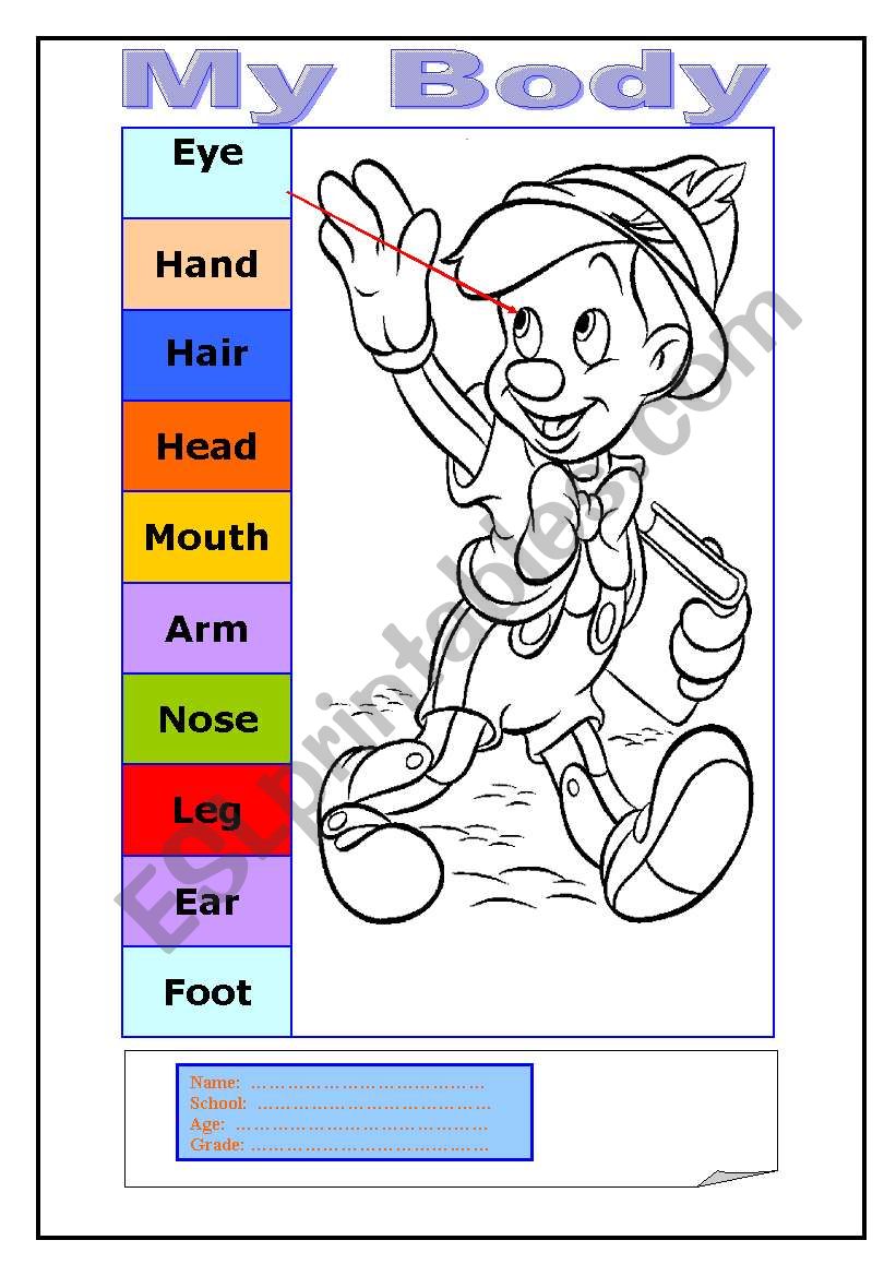 my-body-esl-worksheet-by-faisalconet