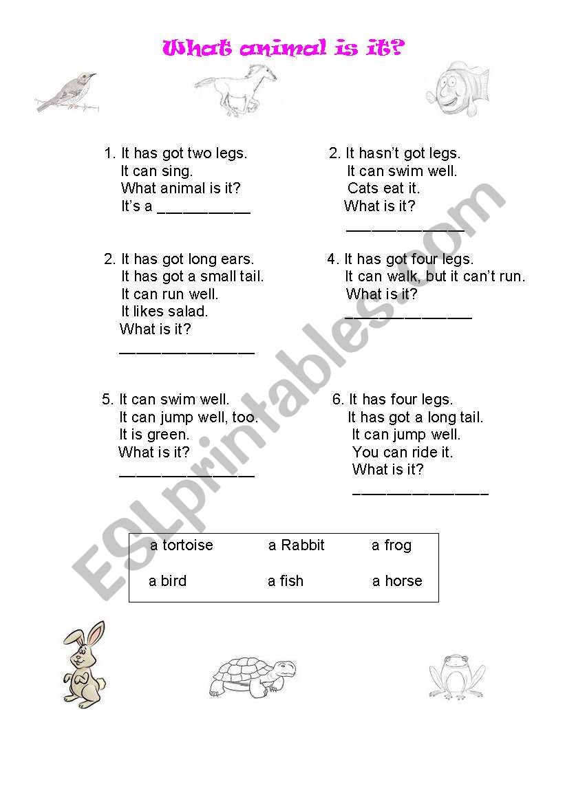 What animal is it? worksheet