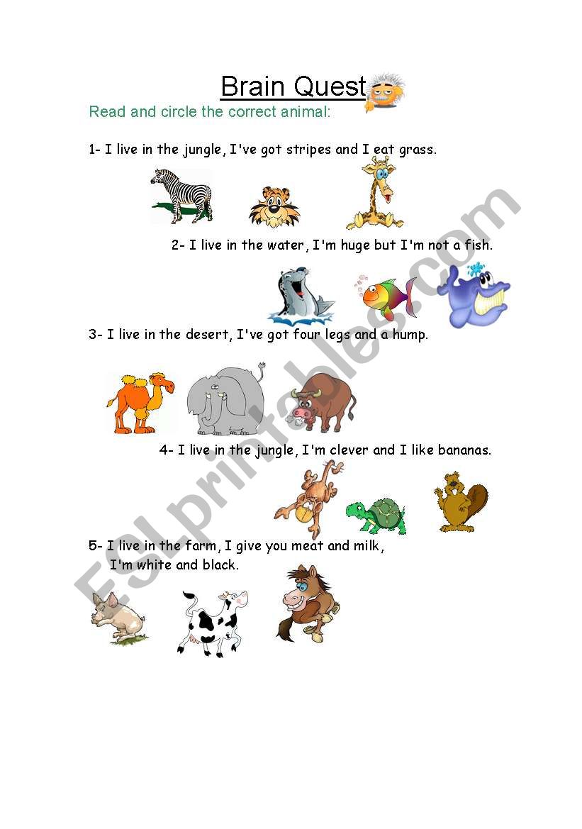 Circle the animal worksheet