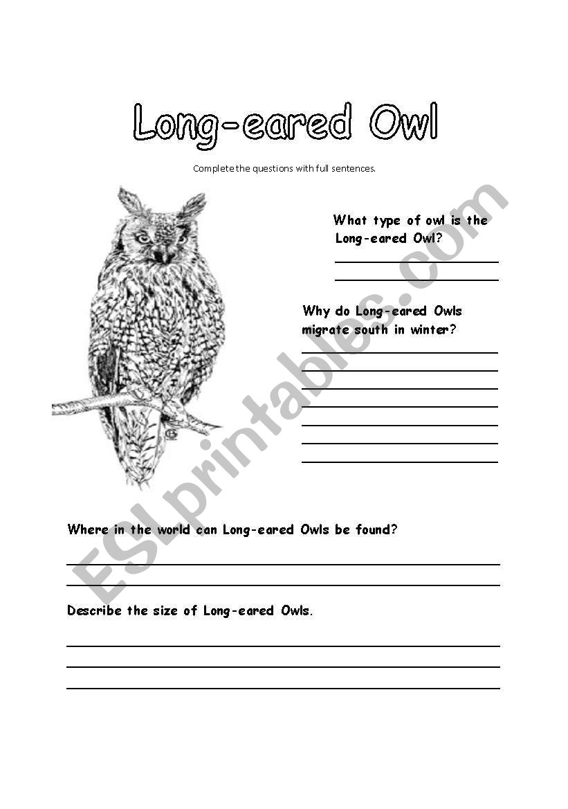 All About Long-eared Owls worksheet
