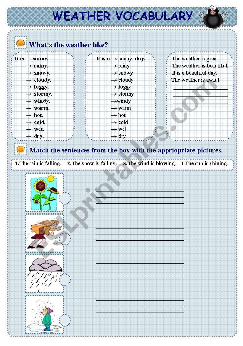 Weather & Seasons    4 Pages + 4 Exercises