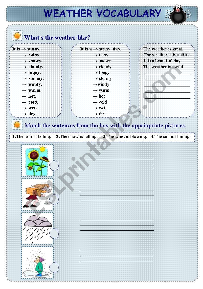 Weather & Seasons    4 Pages + 4 Exercises