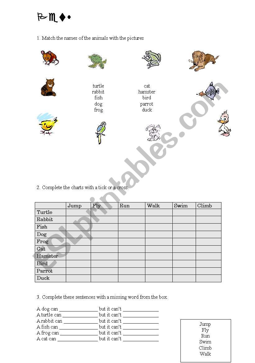 pets worksheet