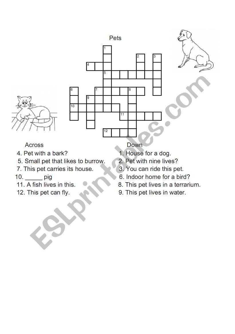 crossword pets worksheet