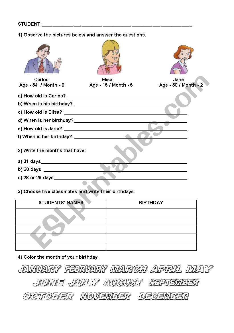 Months of the year worksheet