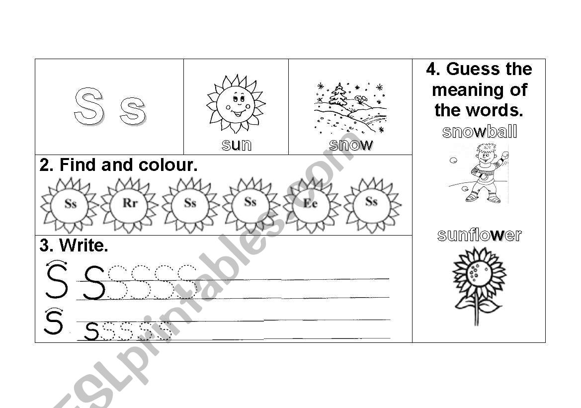 S s worksheet