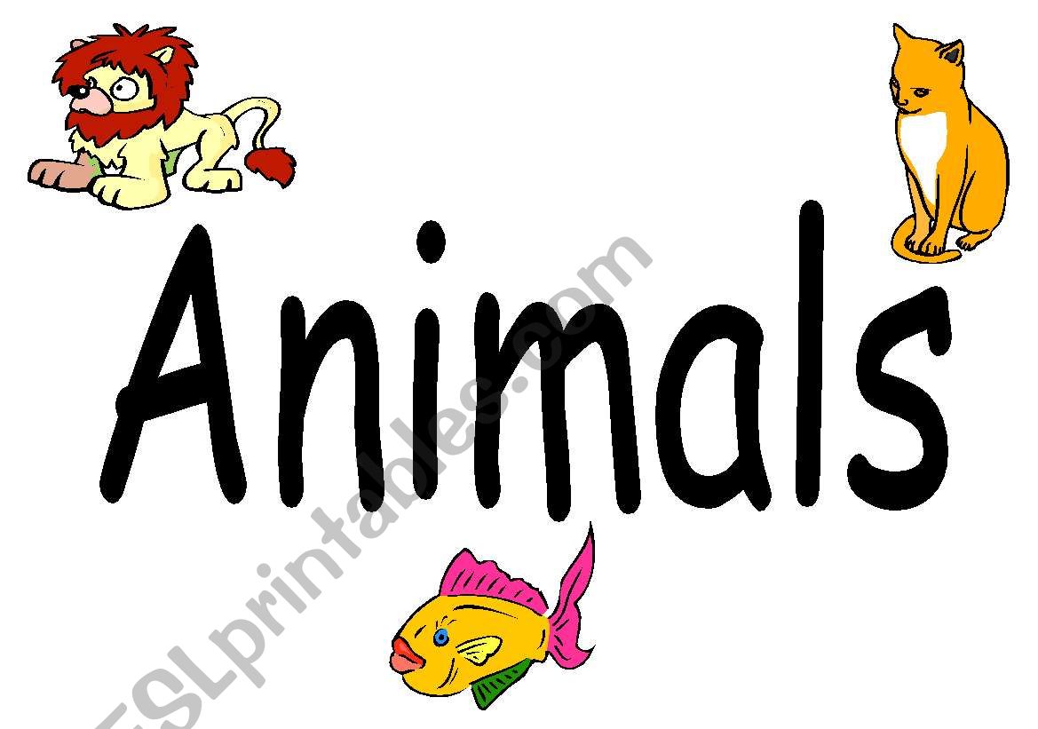 animals flashcards worksheet
